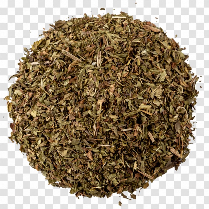 Valerian Green Tea Herbal - Herb - Hyssop Transparent PNG