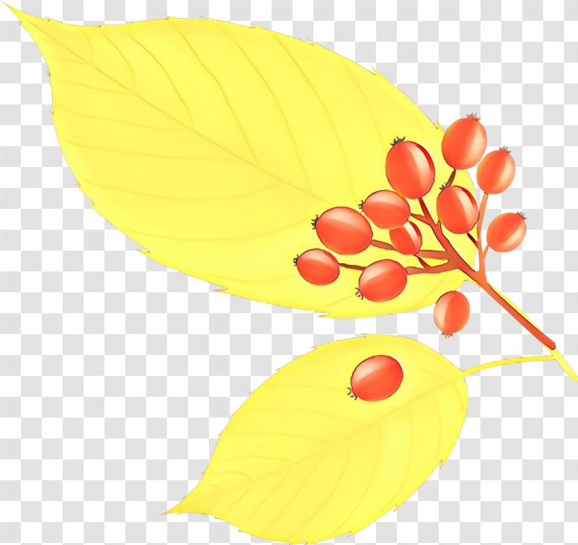 Leaf Yellow Clip Art Plant Flower - Cartoon Transparent PNG