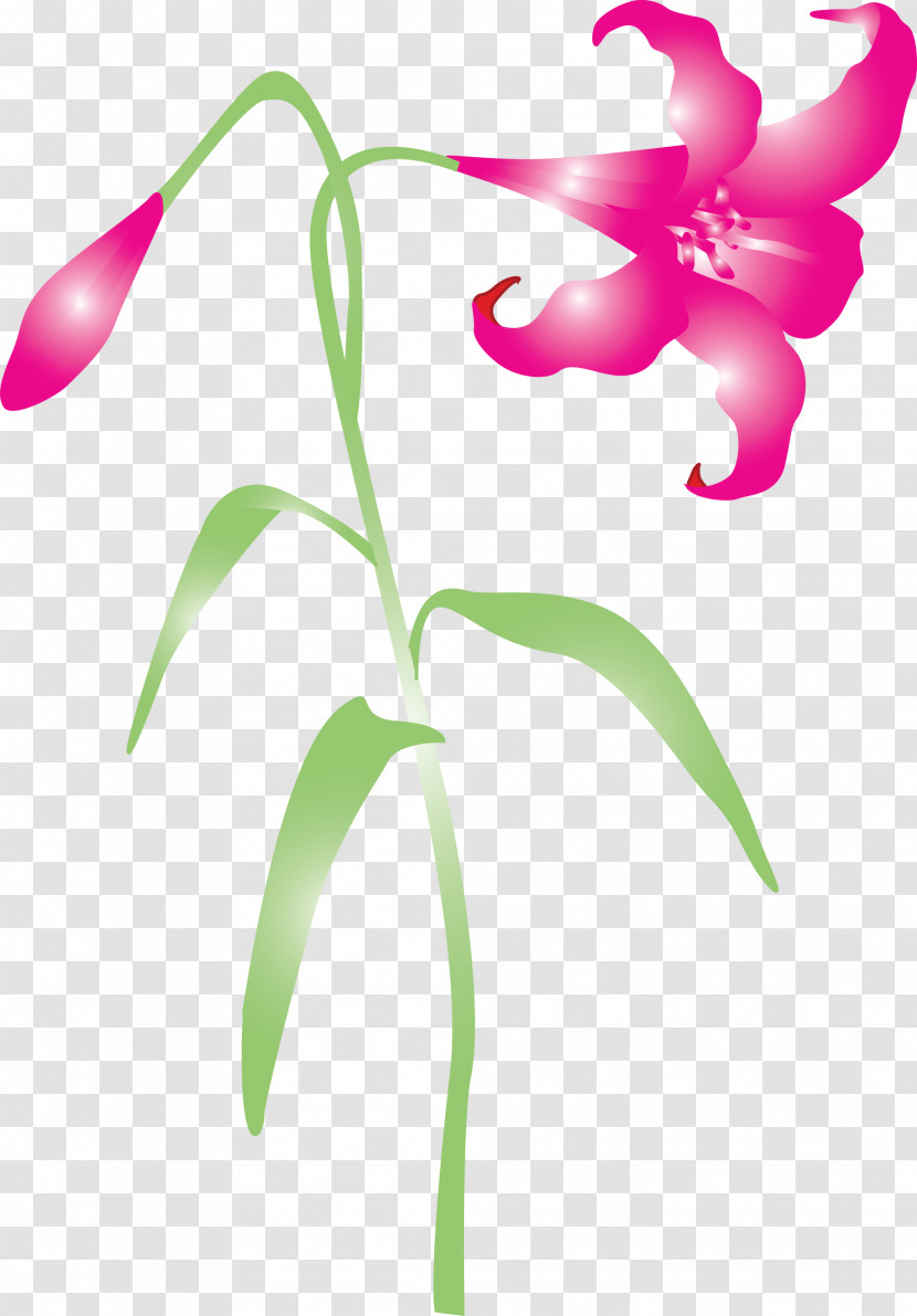 Easter Flower Spring Flower Transparent PNG