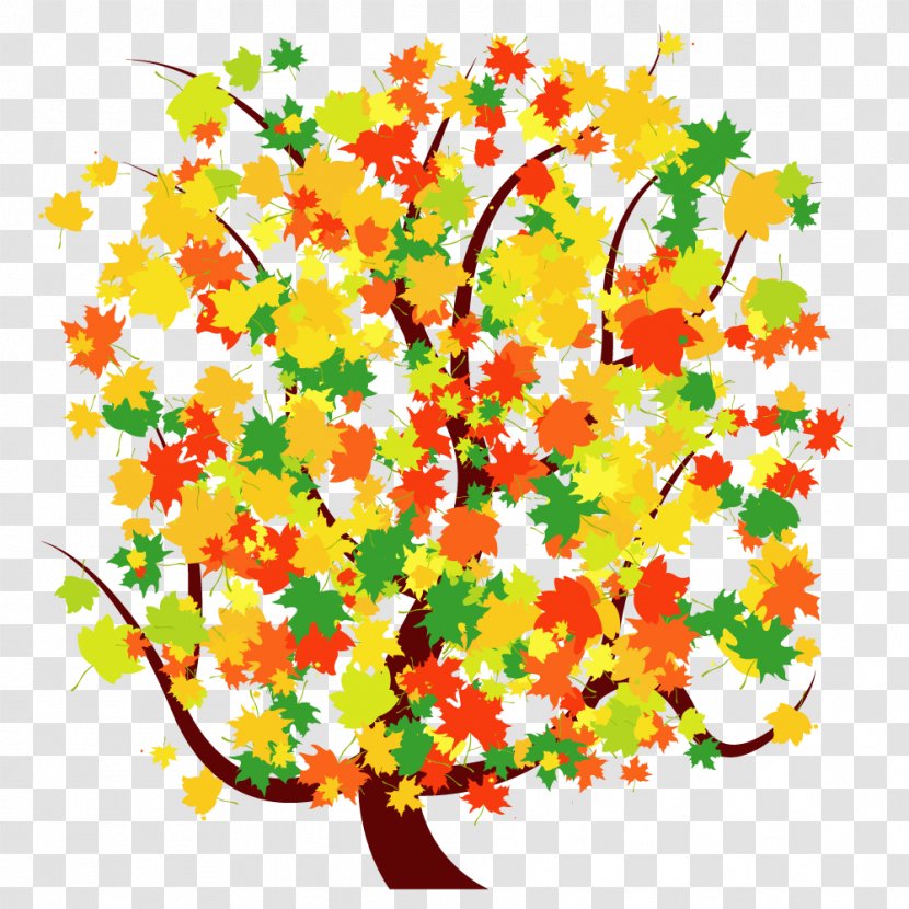 Maple Tree Vector Material - Floral Design - Plant Transparent PNG