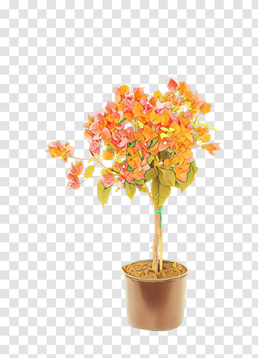 Orange Transparent PNG