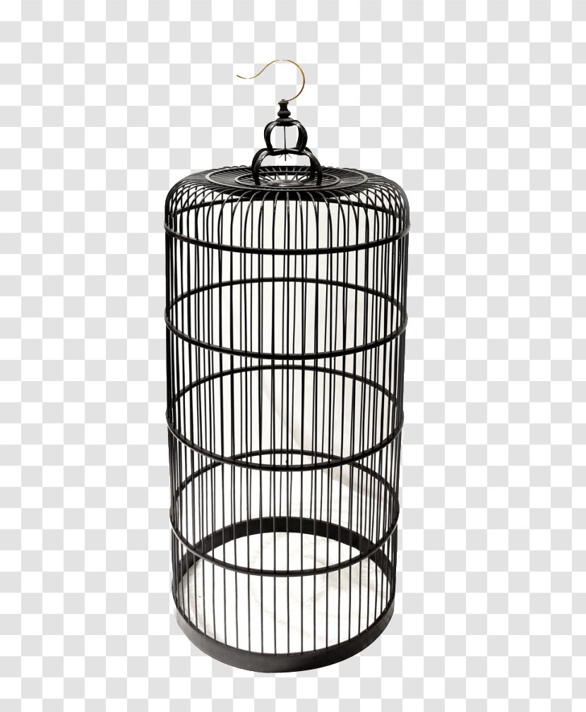 Birdcage Iron Cage Transparent PNG