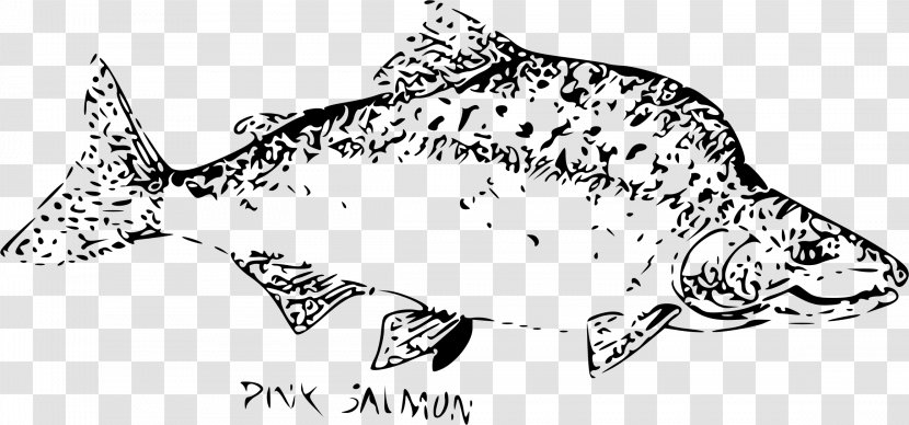 Pink Salmon Chum Chinook Fish Sockeye - Organism - SALMON Transparent PNG