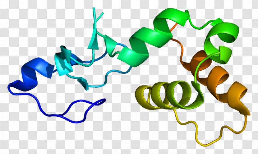 Protein P53 RFFL Gene Ubiquitin Ligase - Flower - Watercolor Transparent PNG
