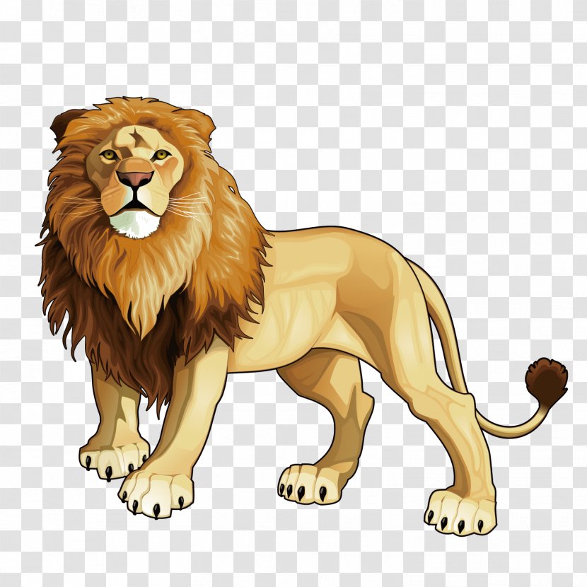 Lion Tiger Jaguar Animal Cheetah - Art - Vector King Transparent PNG