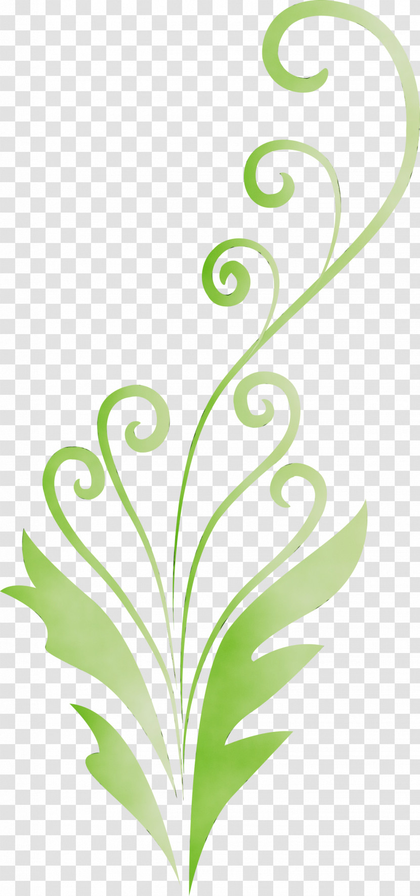 Green Leaf Plant Pedicel Plant Stem Transparent PNG