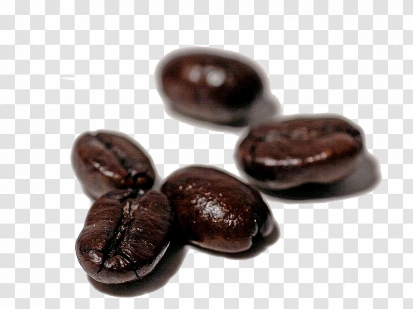Chocolate-covered Coffee Bean Cafe Iced - Roasting Transparent PNG
