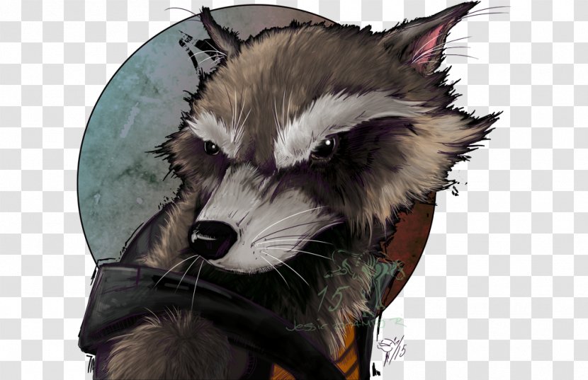 Snout Fur Animal Carnivora - Rocket Raccoon Transparent PNG