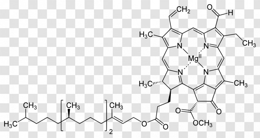 Chlorophyll A B Structure Photosynthesis - Silhouette - Science Transparent PNG