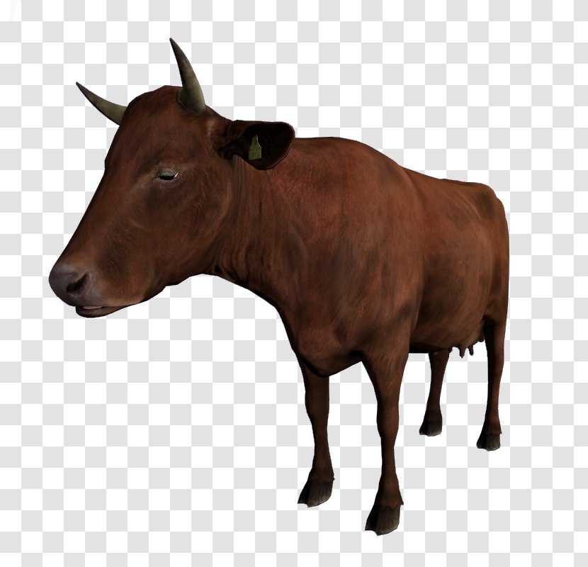 Dairy Cattle DayZ Calf Ox - Horn Transparent PNG