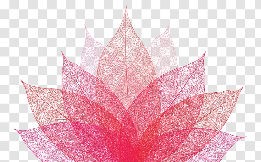 Petal Pink M Leaf Symmetry - Muslim Woman Transparent PNG