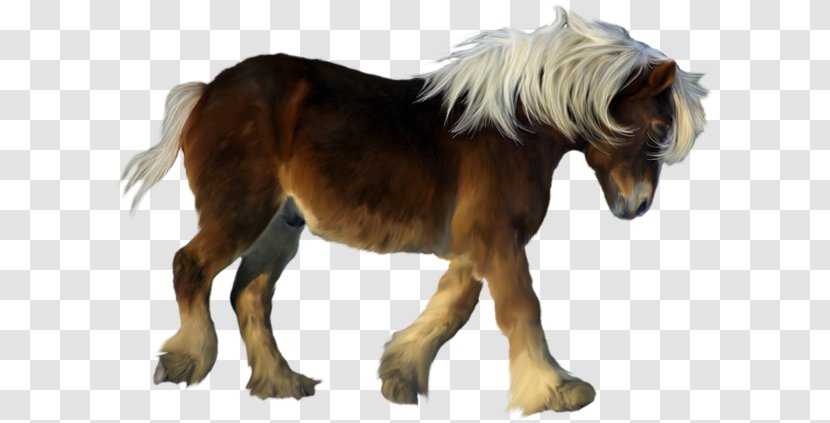 American Miniature Horse Pony Foal Clip Art - Hand-painted Dwarf Transparent PNG