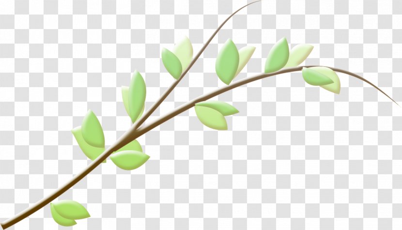Branch Leaf Twig - Plant - Recycled Transparent PNG