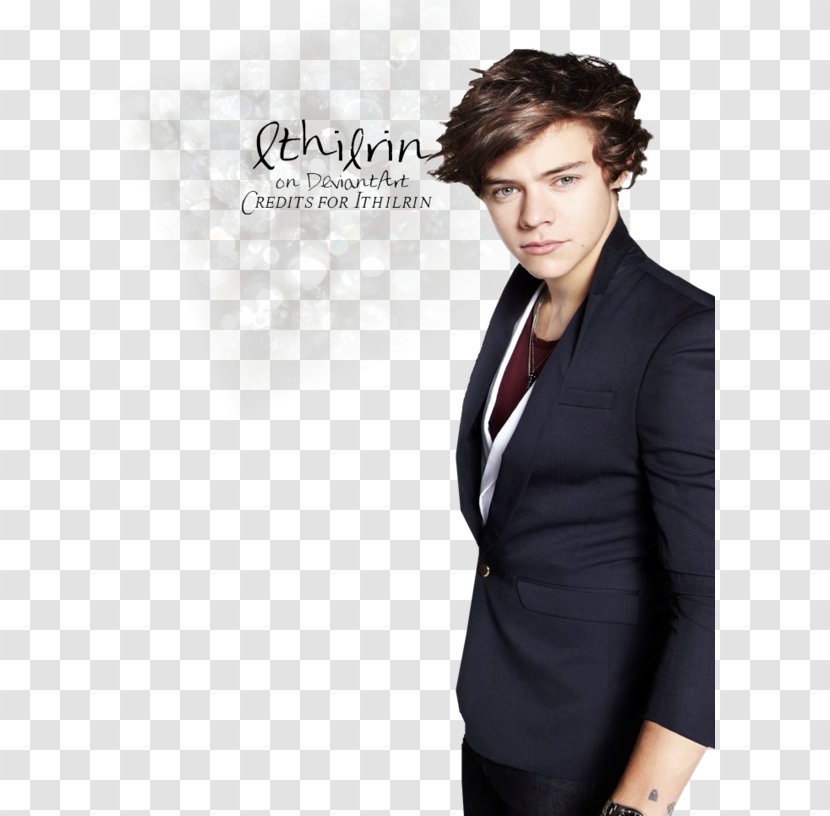 Harry Styles Take Me Home Tour One Direction Drag Down - Silhouette Transparent PNG