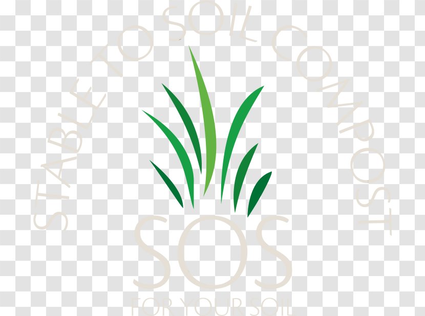 Leaf Plant Stem Brand Flower Clip Art Transparent PNG