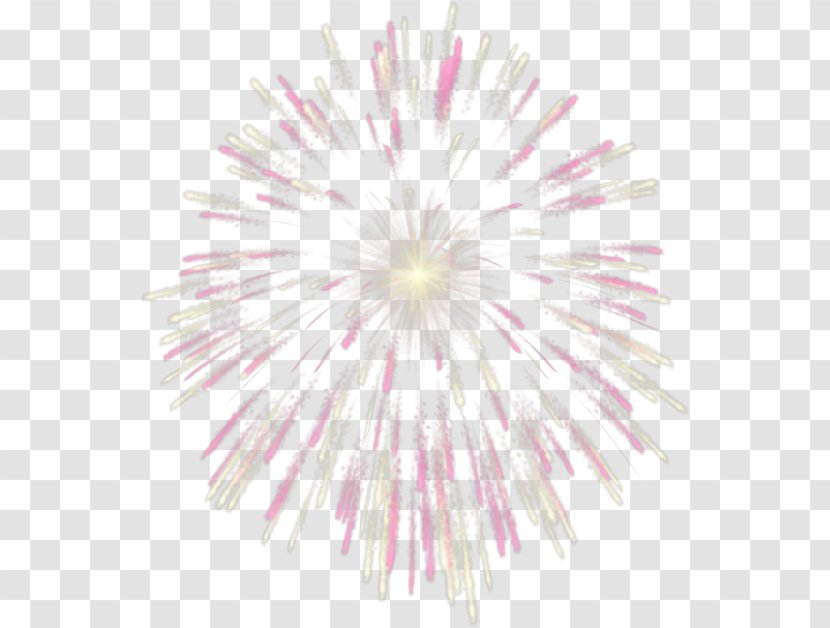 Fireworks Pink Clip Art - Petal Transparent PNG
