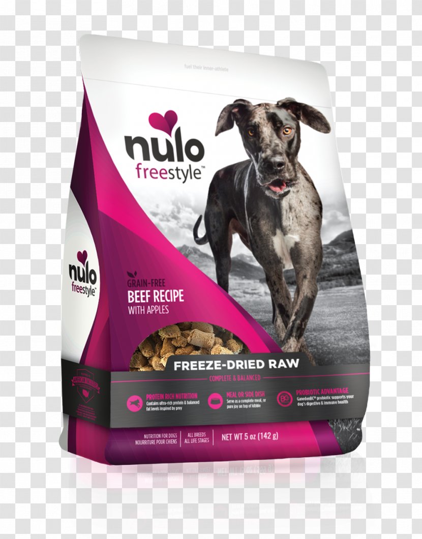 Dog Food Pet - Recipe Transparent PNG