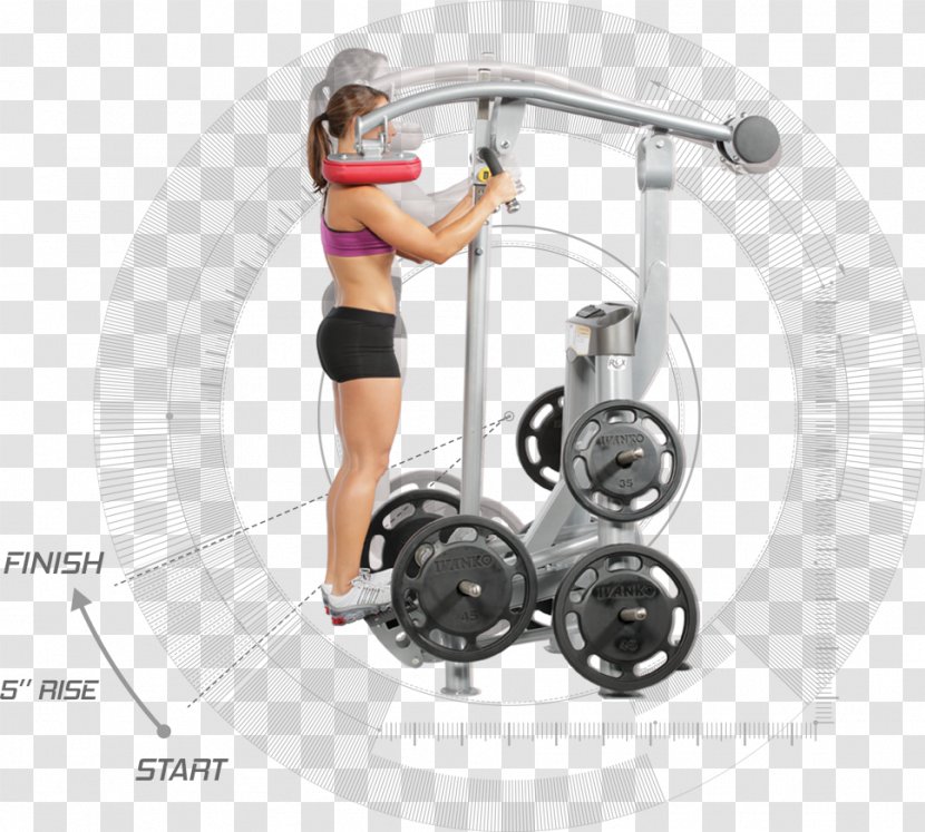Exercise Equipment Technology - Wheel - Hoisting Machine Transparent PNG