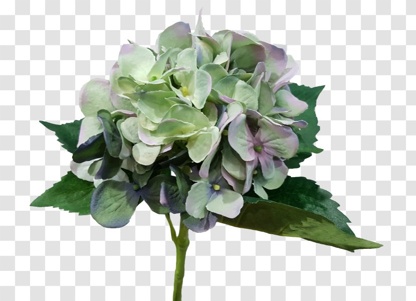 Hydrangeaceae Cut Flowers Lilac - Artificial Mala Transparent PNG
