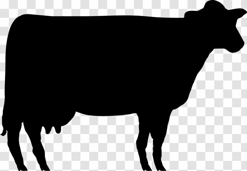 Shorthorn Angus Cattle Beef Hereford Jersey - Dairy Cow Transparent PNG