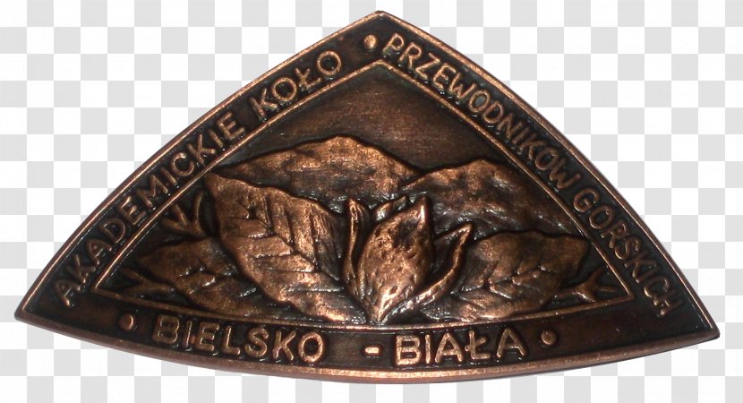Medal Copper Bronze - Artifact Transparent PNG