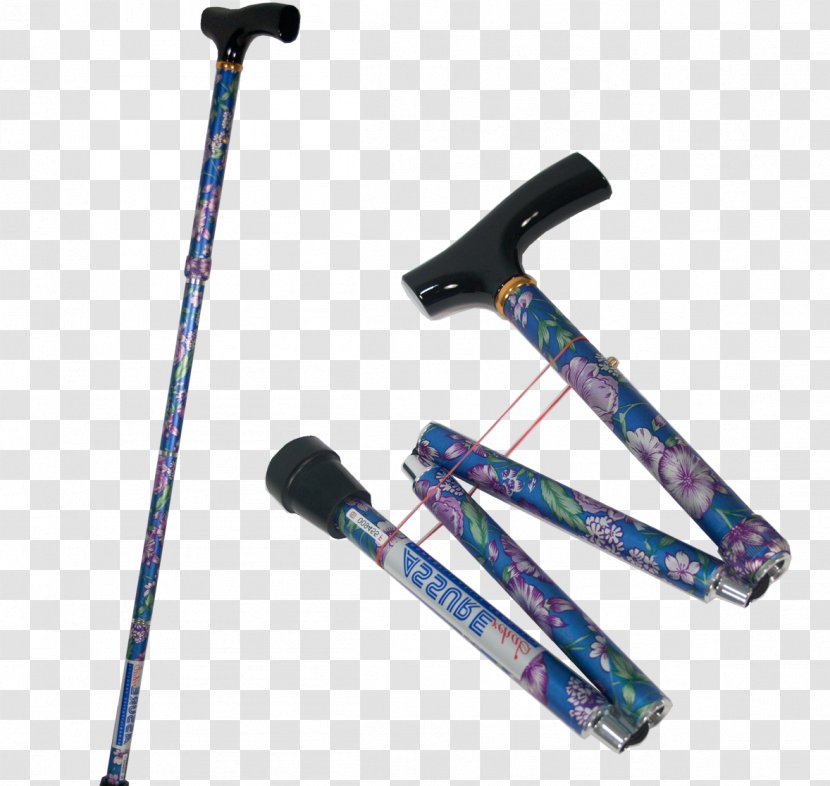 Phasmids Insect Walking Stick Ski Poles Herbivore - Candy Transparent PNG
