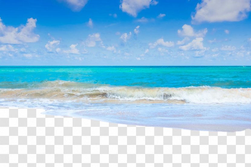 Beach Sea Ocean Photograph Coast - Summer - Resort Transparent PNG