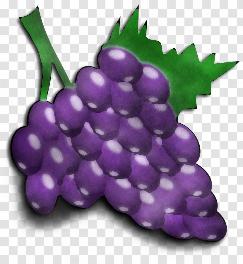 Grape Grapevine Family Purple Fruit Plant Transparent PNG