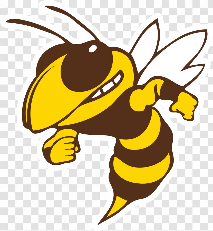 Bumblebee - Hornet Cartoon Transparent PNG