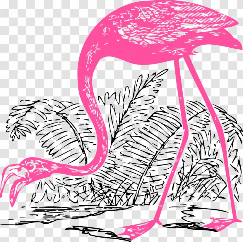 Bird Flamingo Illustration - Tree - Vector Swan Transparent PNG