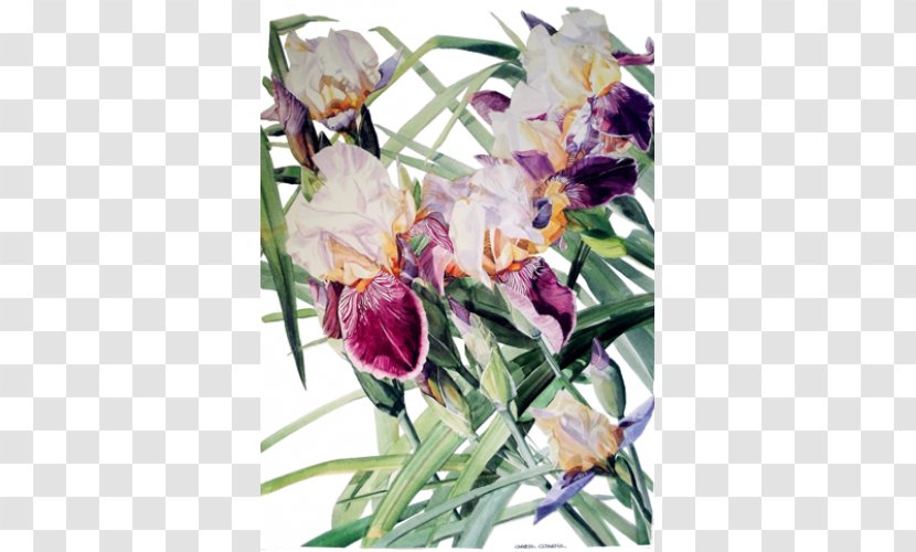 Watercolor Painting Floral Design Watercolor: Flowers Art - Purple Transparent PNG