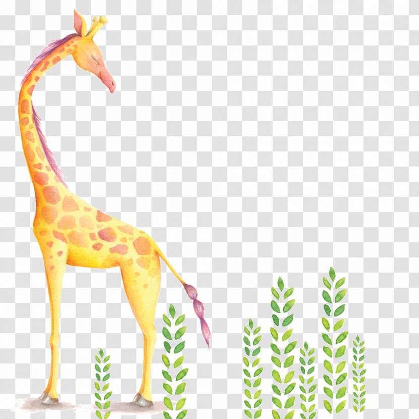 Giraffe Nursery Watercolor Painting Wall Decal - Child - Hand Painted Transparent PNG