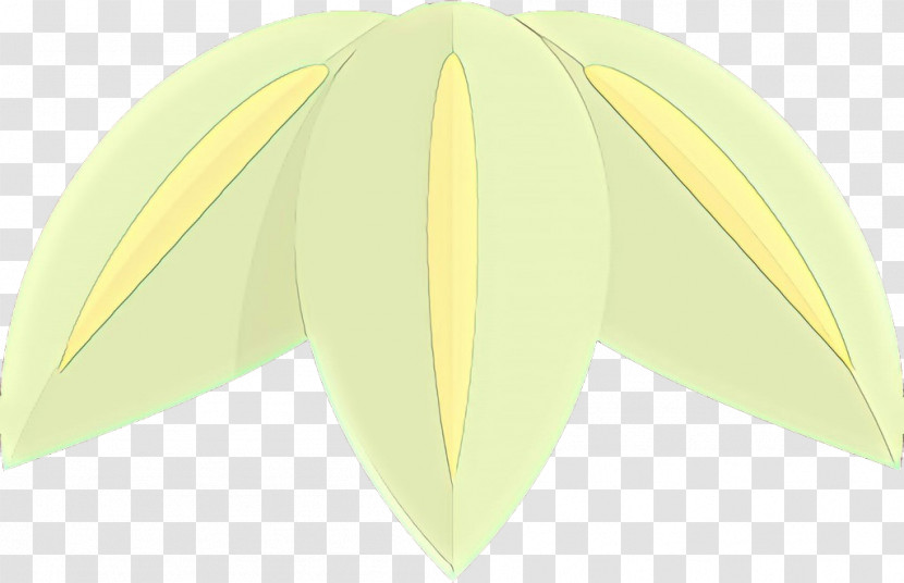 Leaf Green Yellow Tree Plant Transparent PNG