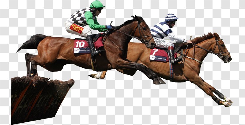 Horse Racing Jockey Sports Betting - Mare Transparent PNG
