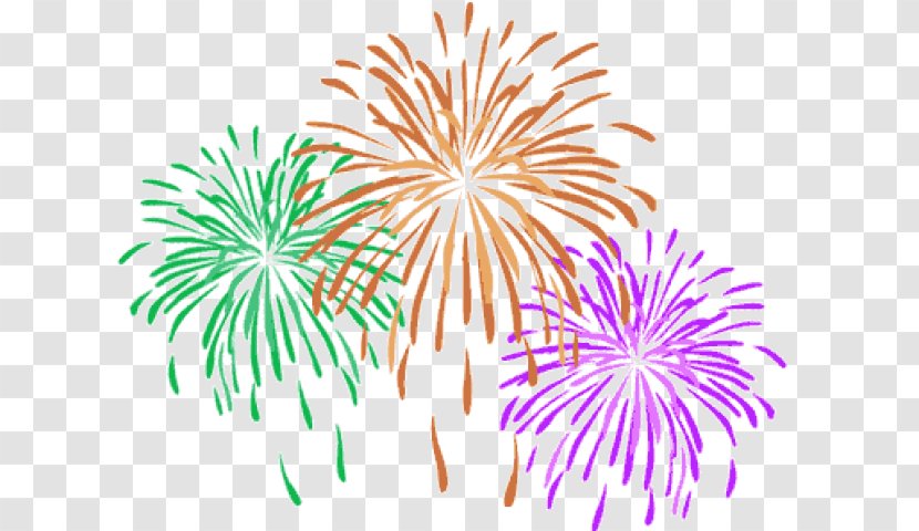 Clip Art Fireworks Vector Graphics Graphic Design - Organism - Jordania Transparent PNG