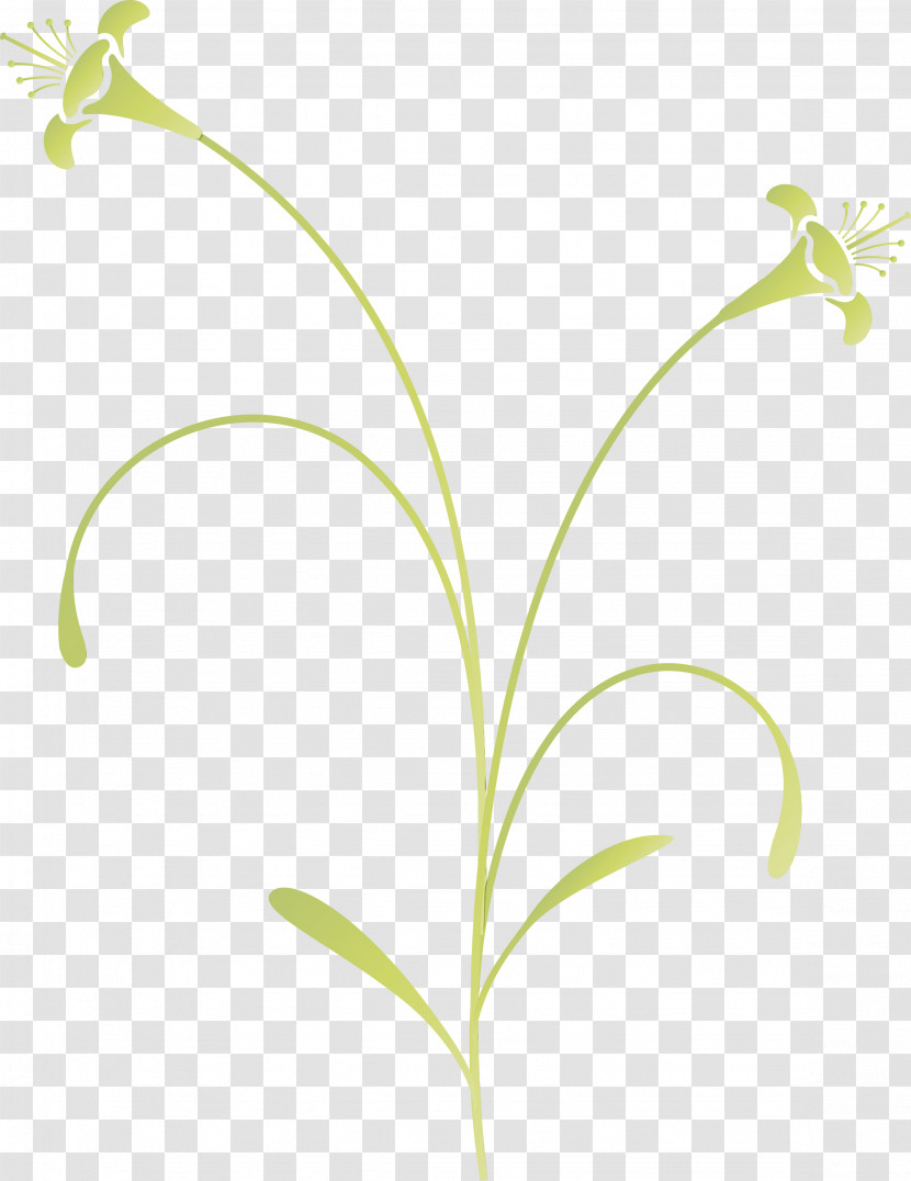 Flower Lily Of The Valley Plant Leaf Pedicel Transparent PNG