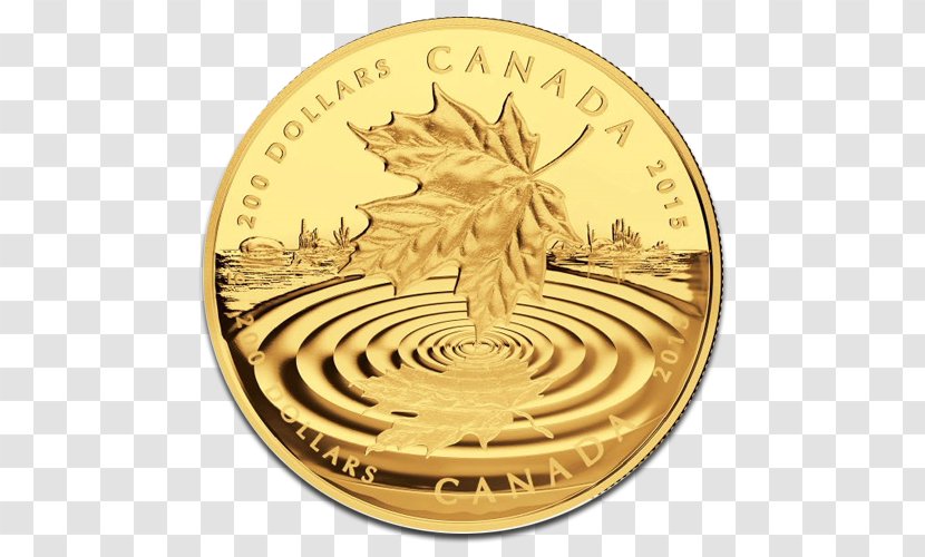 Gold Coin Canadian Maple Leaf Silver - United States Twentydollar Bill Transparent PNG