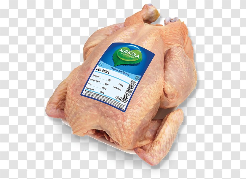 Film Poster Information Turkey Ham Foodstuffs - HoReCa Transparent PNG