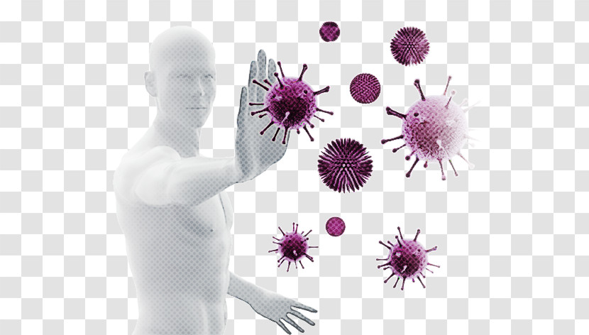 Immunity Immune System Health Probiotic Bacteria Transparent PNG
