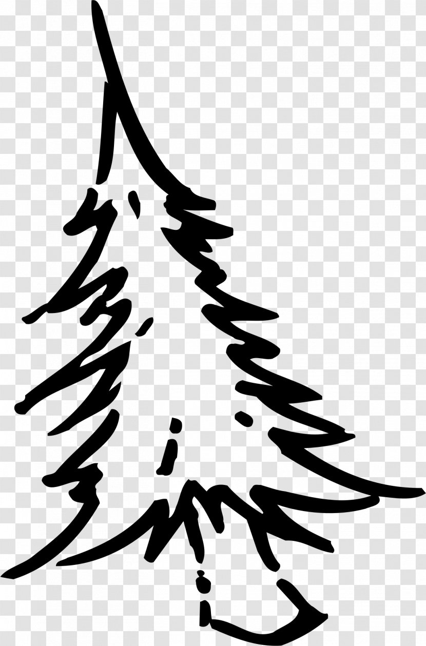 Christmas Tree Drawing Clip Art - Color - Fir-tree Transparent PNG