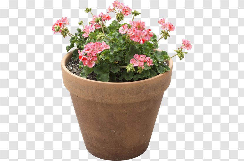 Flowerpot Houseplant Light + Building - Flower Pot Transparent PNG