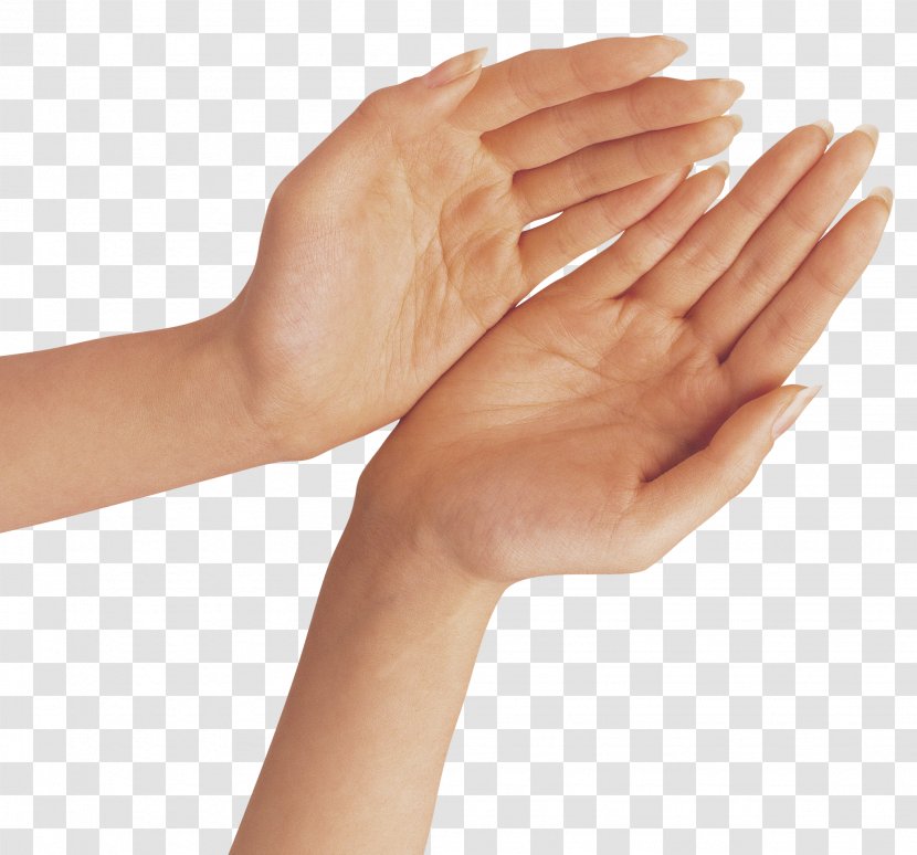 Hand Clip Art - Thumb - Fingers Transparent PNG