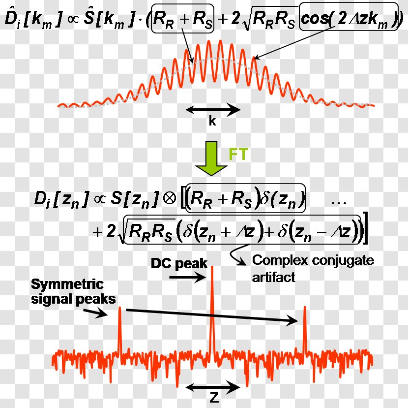 Optical Coherence Tomography Fourier Transform Frequency Domain Time Optics - Journal Of Biomedical Transparent PNG