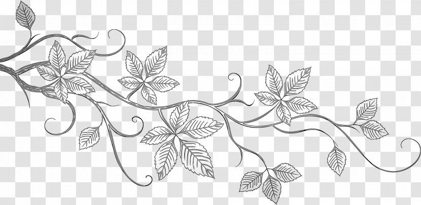 Ivy - Line Art - Pedicel Transparent PNG