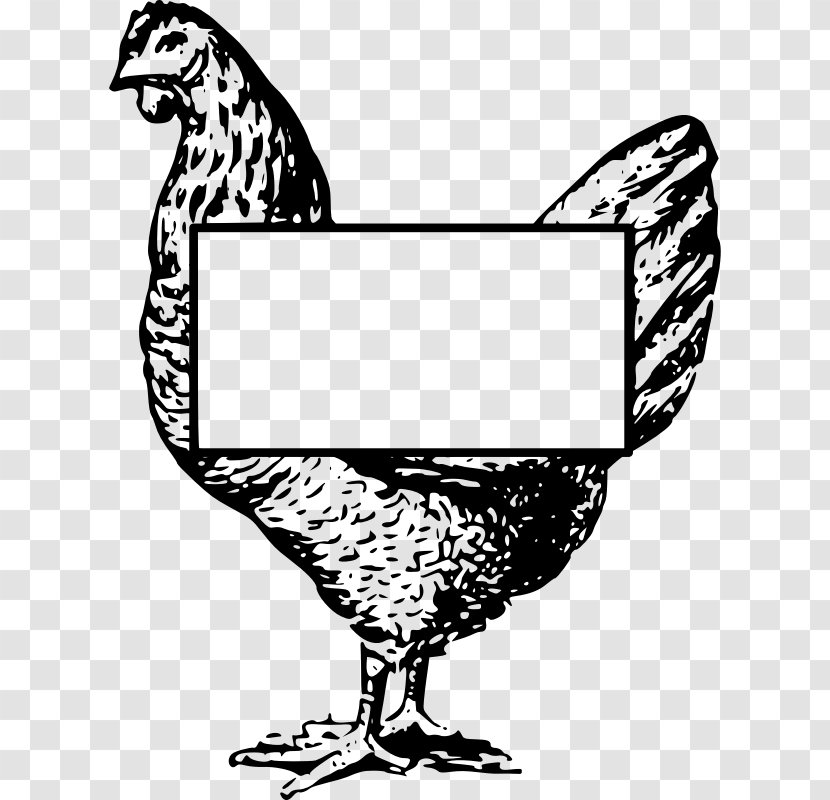 Rooster Chicken Galliformes Poultry Clip Art Transparent PNG