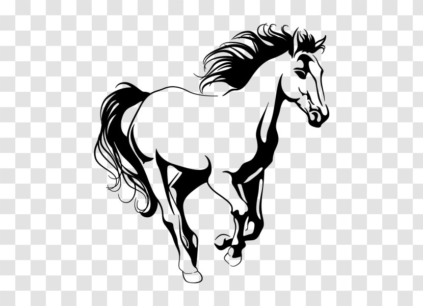 Wall Decal Arabian Horse Training Sticker - Mythical Creature - Decorative Arts Transparent PNG