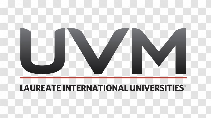 Universidad Del Valle De México University Of Vermont Catamounts Men's Basketball Atemajac Tecnológica - College - Student Transparent PNG