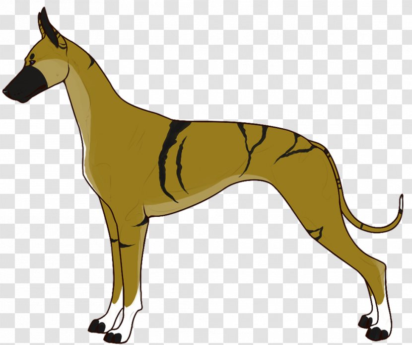 Whippet Italian Greyhound Spanish Sloughi - Sighthound - Rejoice Transparent PNG