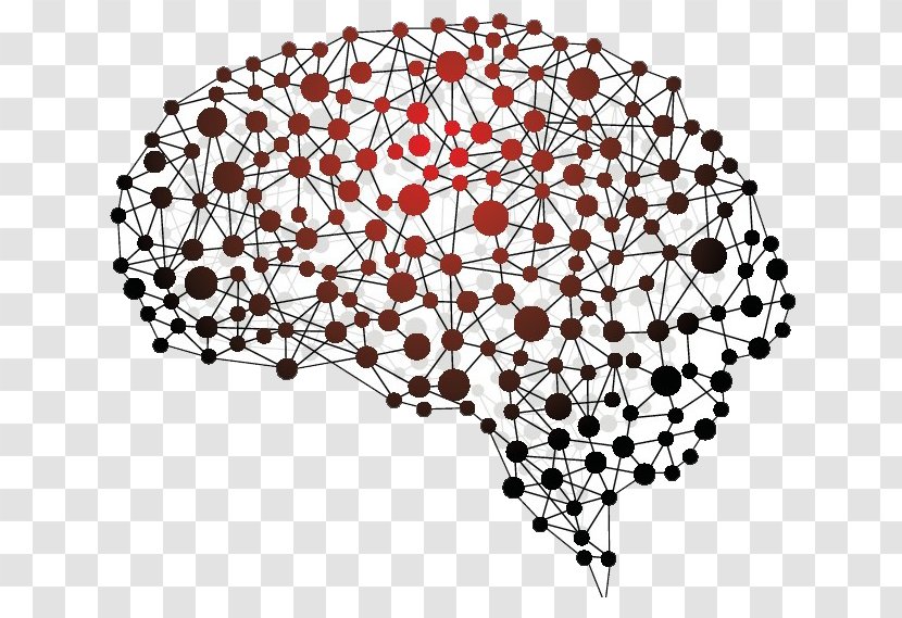Human Brain Neuropsychology Nervous System BRAIN Initiative Transparent PNG