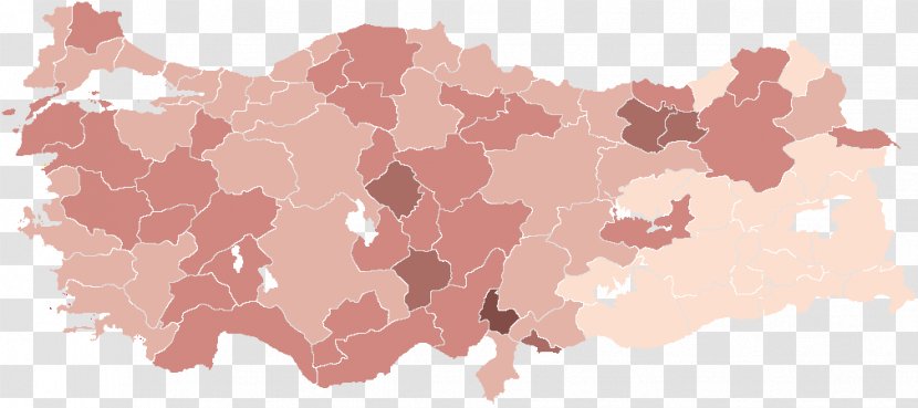 Turkey Turkish General Election, November 2015 Local Elections, 2014 2018 - Buckwheat - Pink Transparent PNG
